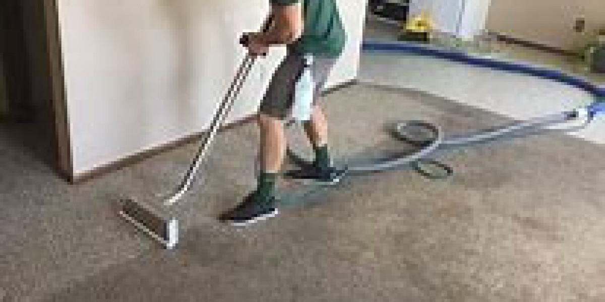 The Impact of Carpet Cleaning Services on Allergen Reduction