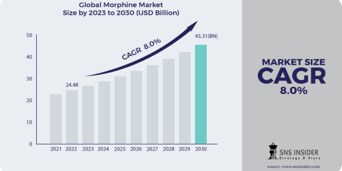 Morphine Market Share, Size, and Growth Report 2024