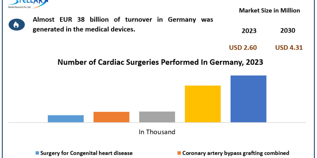 Germany Patient Monitoring System Market Size, Future Growth, Business Trends and Analysis 2030