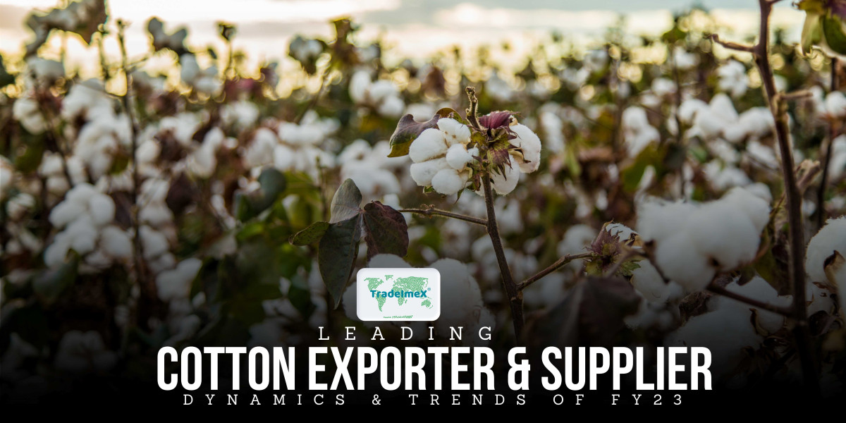 Best Cotton Exporters Globally