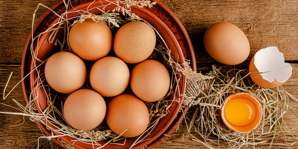 Namakkal Egg Suppliers | Sri selvalakshmi Feeds & Farms