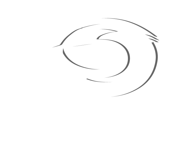 Innovative Ducks | Advertising & Software Agency