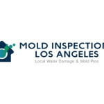 Mold Inspections Los Angeles