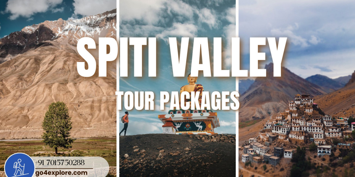 Things to Do on a Spiti Valley Trip