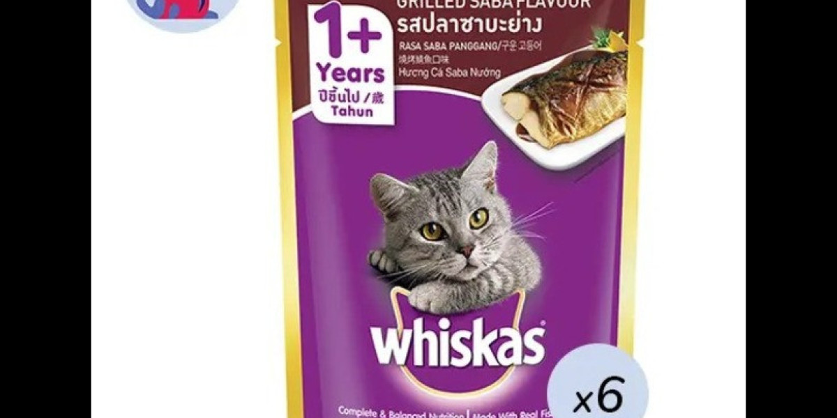 Pet Food Shop BD: Best Places to Buy Cat Food