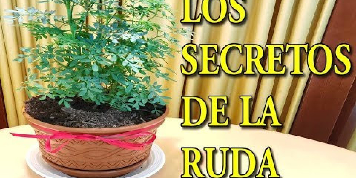 Los increíbles usos medicinales de la poderosa planta ruda