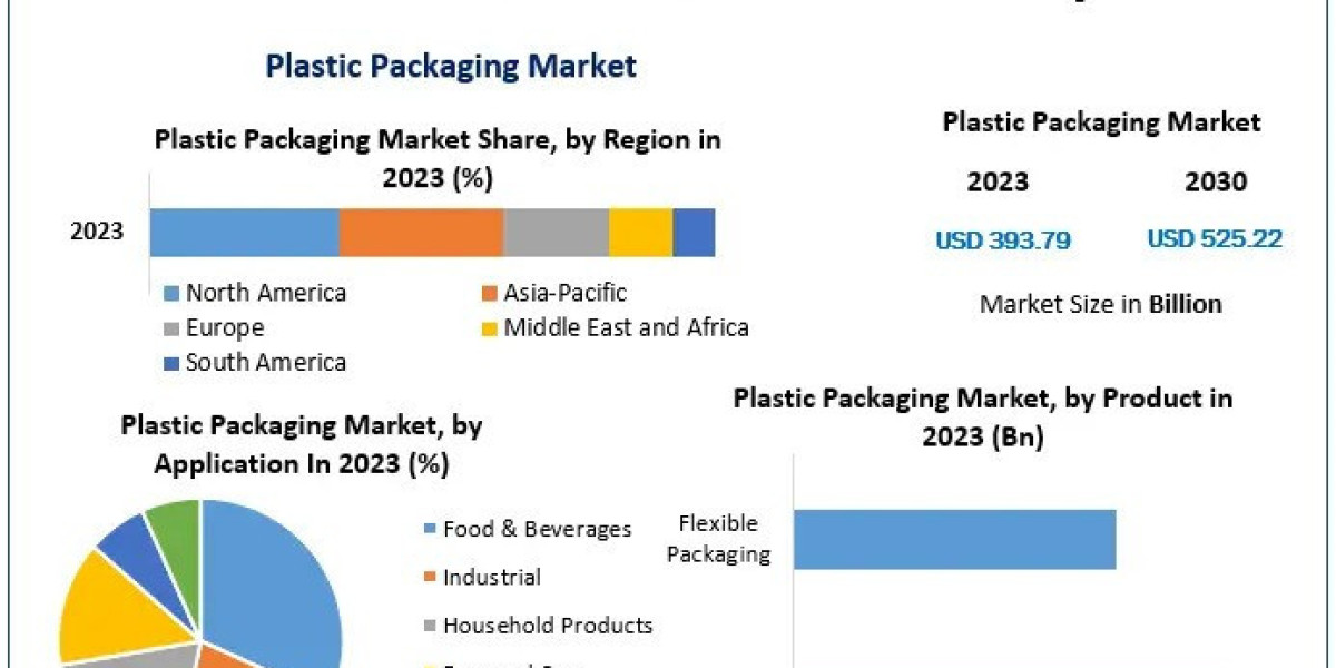 Plastic Packaging Market Segmentation and Regional Analysis (2024-2030)