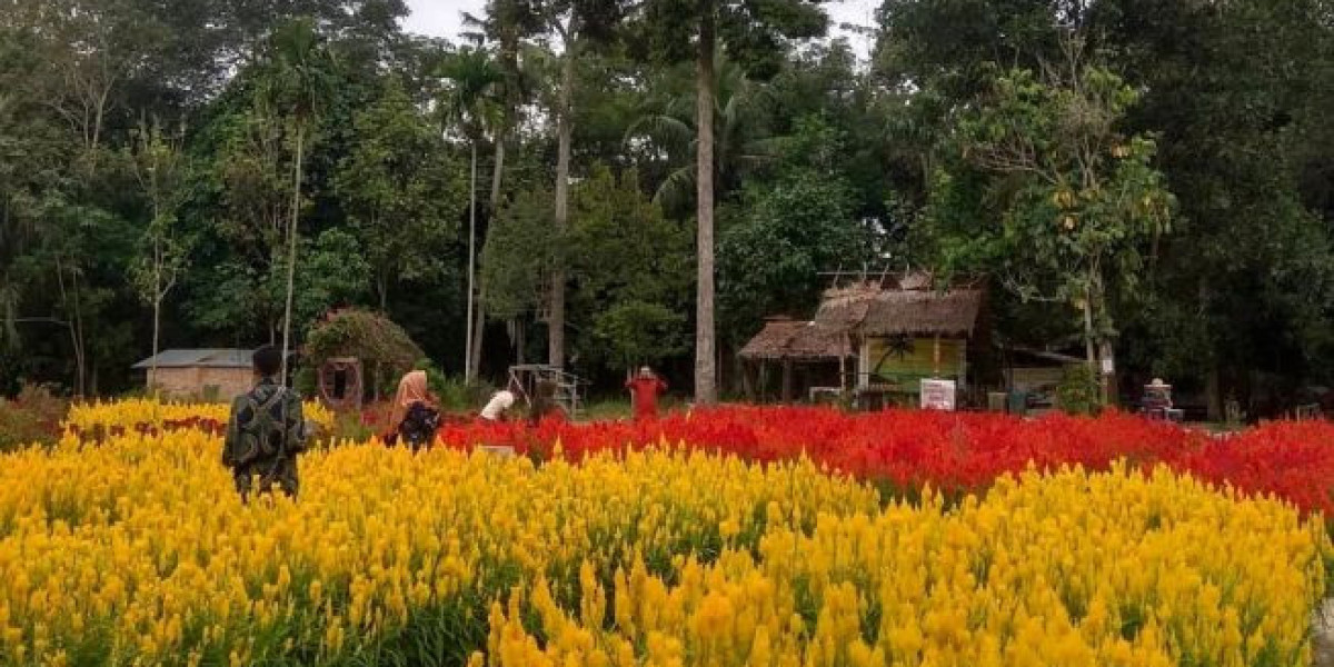 Menikmati Keindahan Taman Bunga Impian Okura, Pekanbaru