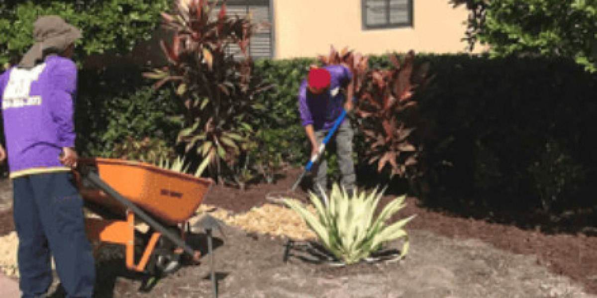 Perfecting Your Lawn in Longboat Key: Expert Lawn Mowing Techniques