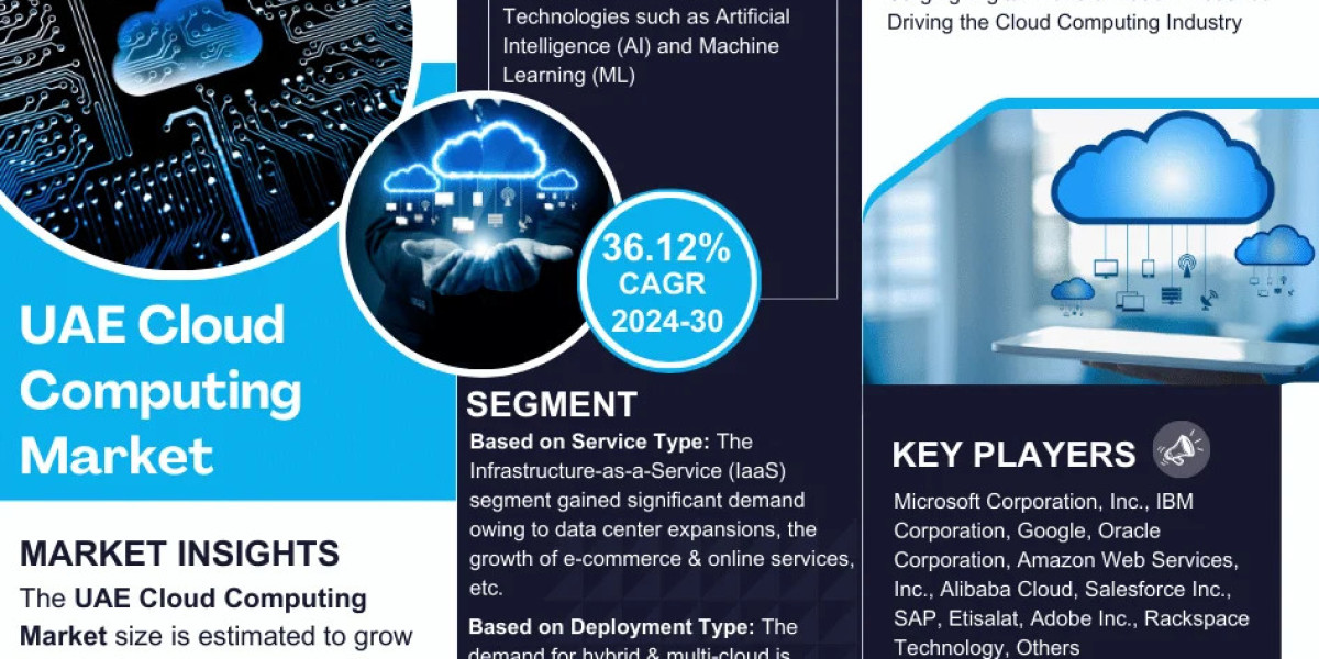 UAE Cloud Computing Market Overview