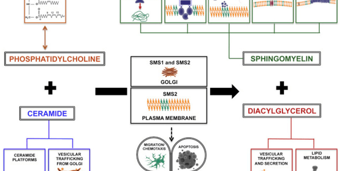 Detection of Sphingomyelins