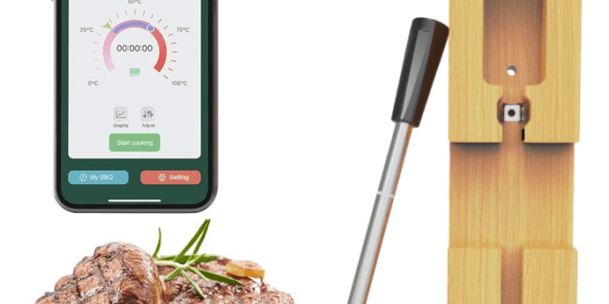 Wamoma Smart Thermometer Reviews - 3.0 UPDATE! My Experience- 2024!