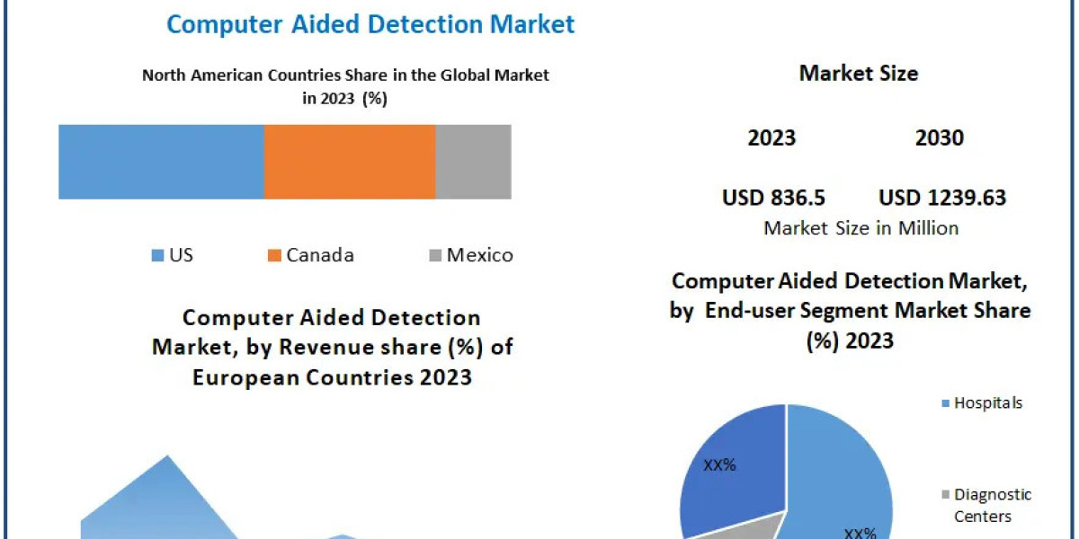 Computer Aided Detection Market Sector Examination, Scale, Key Drivers, and Long-Term Forecasts