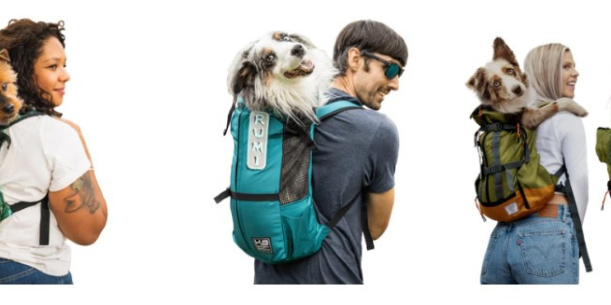 From Cozy to Compact: The Best Pet Carriers for Every Type of Travel