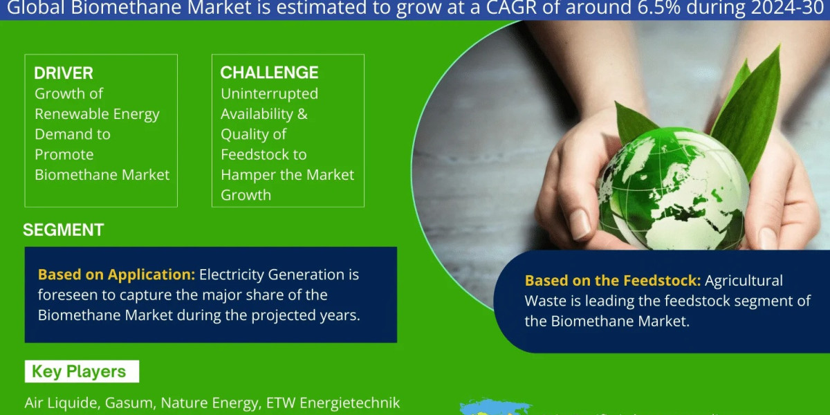 Biomethane Market Bifurcations, Drivers, Restraints, and Trends Forecast 2024-2030