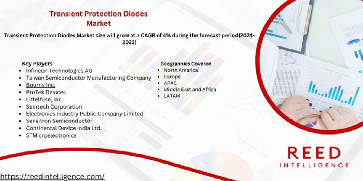 Transient Protection Diodes Market Outlook 2024: Big Things are Happening