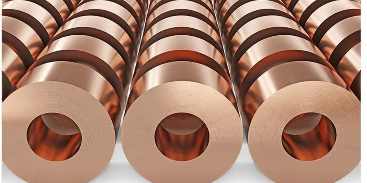 Keys to Running a Bronze Strips Manufacturing Plant Setup Report 2024: Cost Details