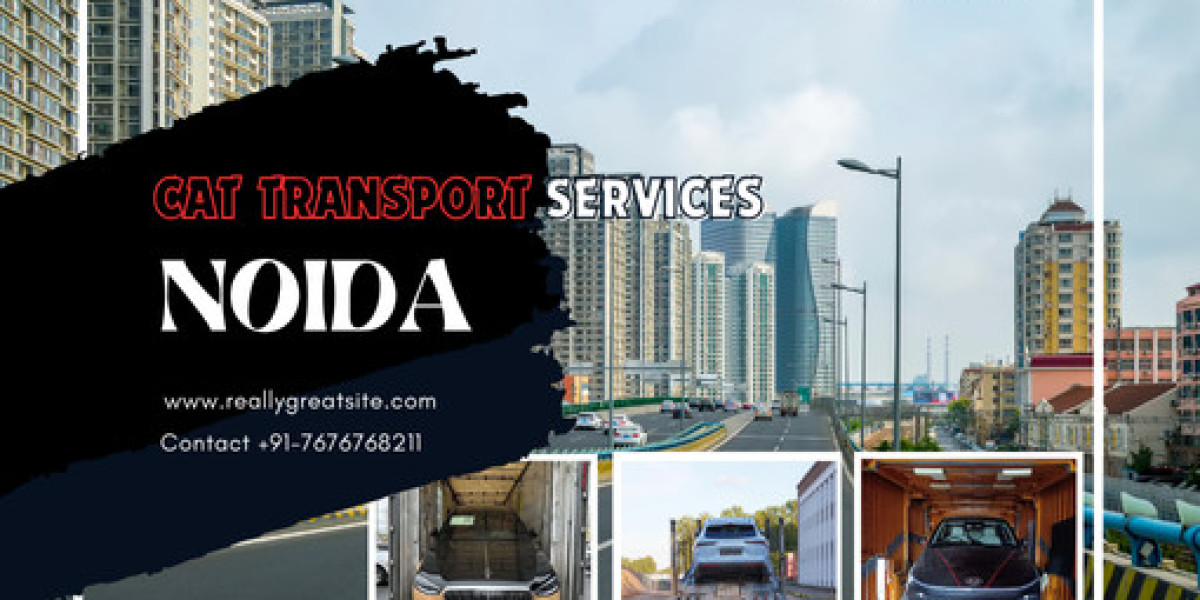 Top Car Movers and Packers in Noida