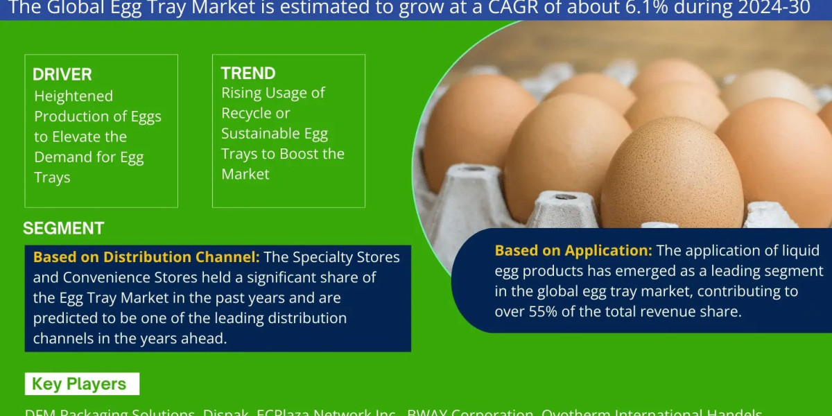 Egg Tray Market Bifurcations, Drivers, Restraints, and Trends Forecast 2024-2030