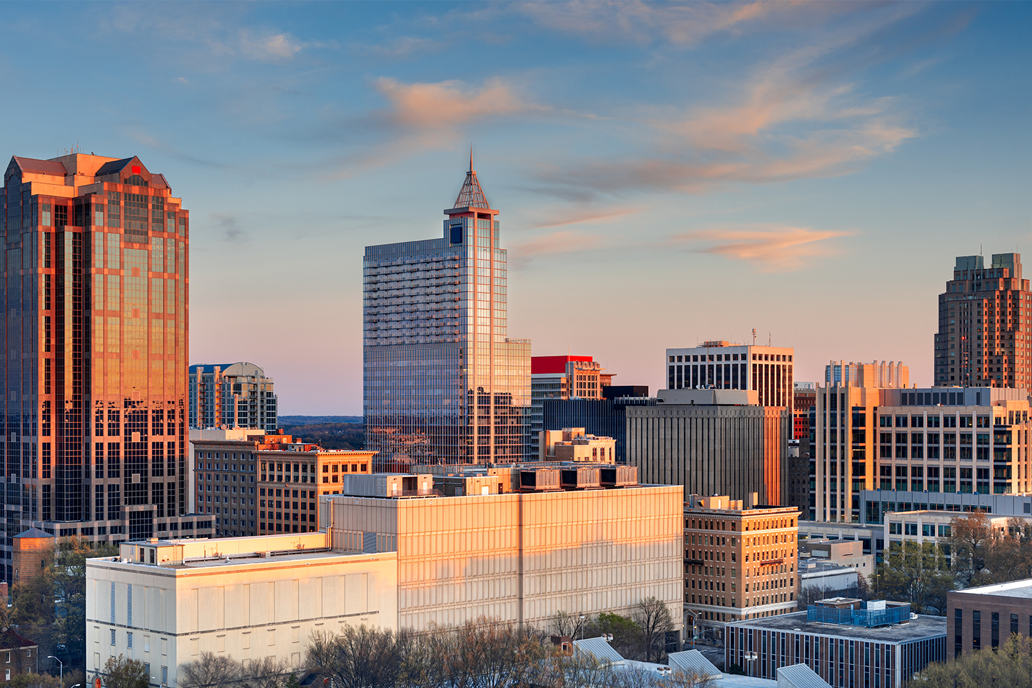 Luxury Cars Transportation in Raleigh