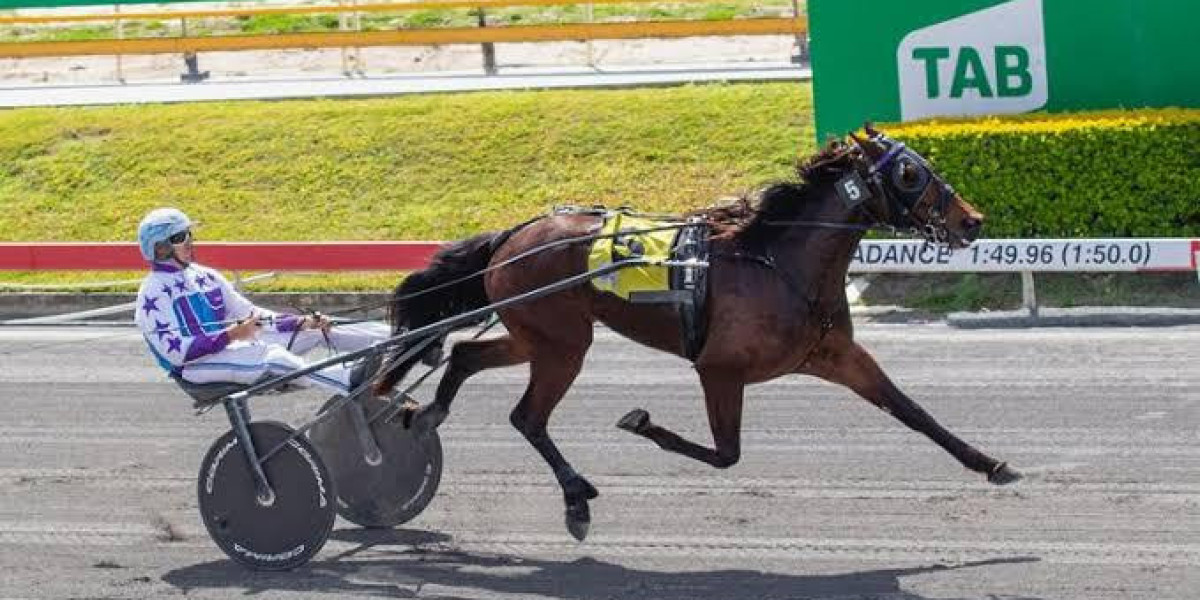 harness racing in brisbane