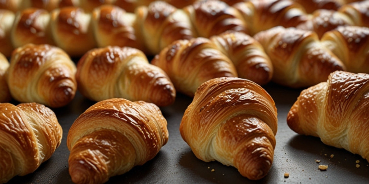 Plain and Filled Croissant Manufacturing Plant 2024: Business Plan, Project Report and Industry Trends