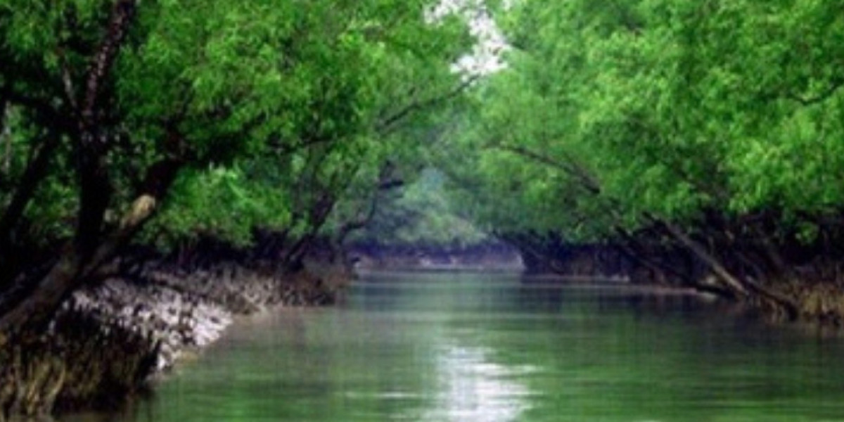 Discover the Magic of Sundarban Wildlife Tourism: A 2 Night 3 Days Adventure