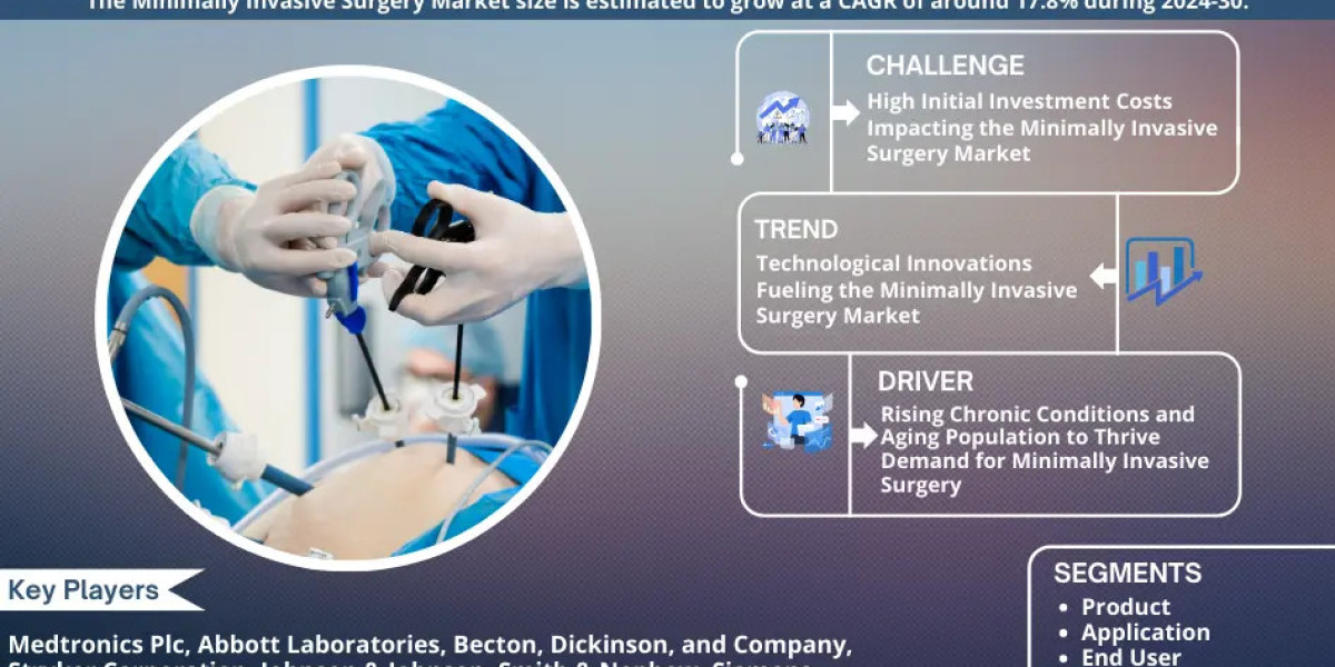 Minimally Invasive Surgery Estate Market Growth and Development Insight - Size, Share, Growth, and Industry Analysis