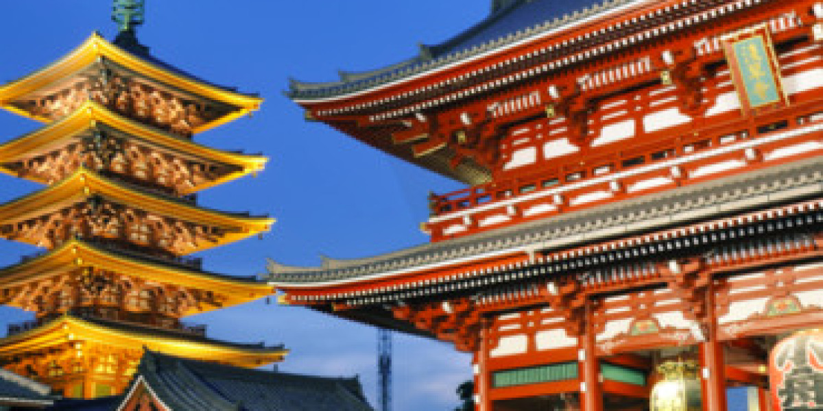 Unforgettable Adventures Await with Tokyo Grand Tours