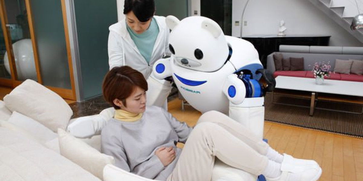 Robotic Nurse Assistant Industry: The Rise of Robotic Nursing Assistants Around the World