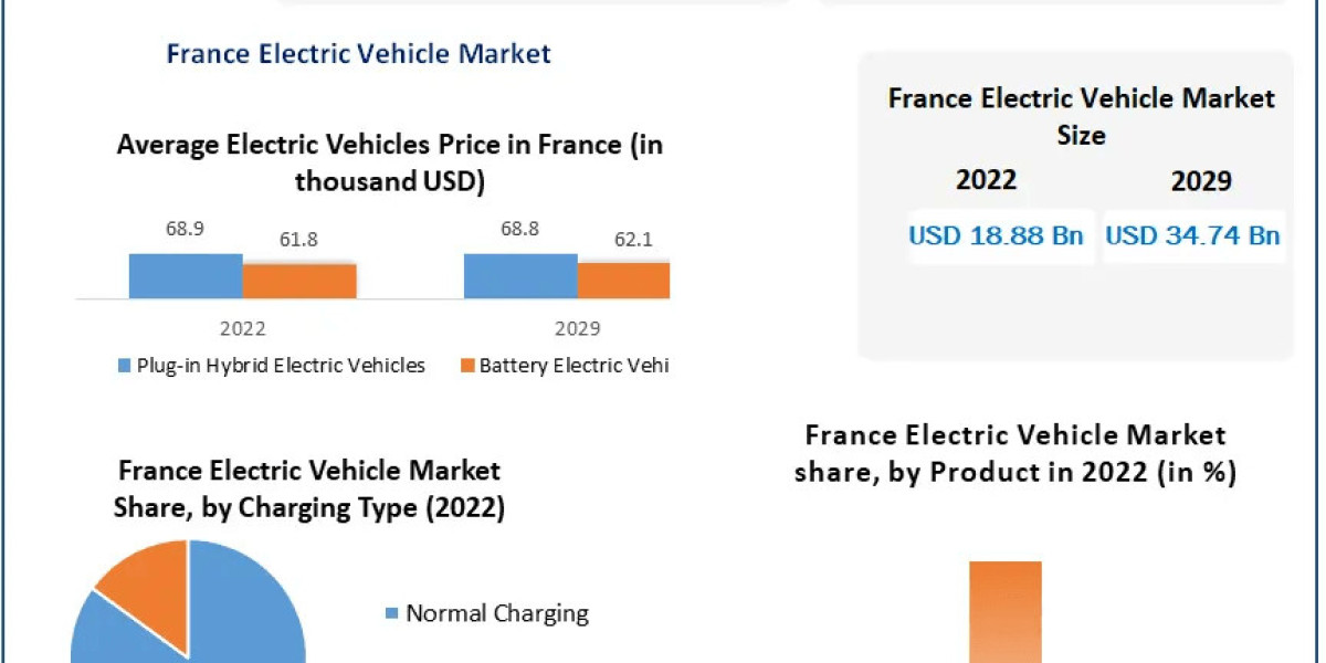 France's EV Market Expands, Expected to Grow 9.1% Annually Through 2029