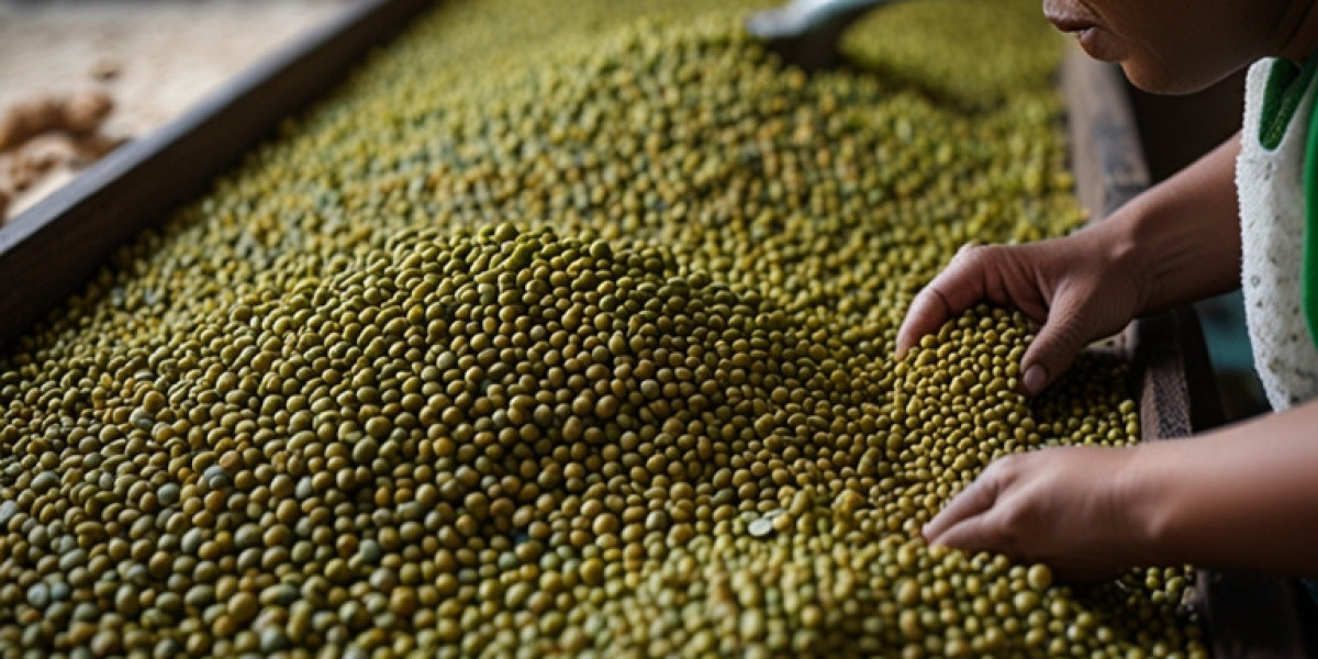 Mung Bean Processing Plant Report 2024 | Project Details, Machinery Requirements and Cost Involved