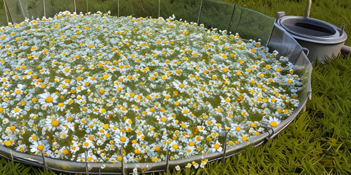 Chamomile Processing Plant Report 2024: Cost Analysis and Raw Material Requirements