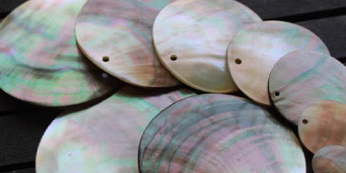 Shell Symphony: The Iridescent Charm of the Mother of Pearl