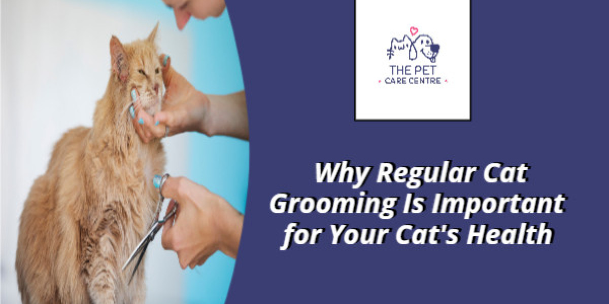 Why Regular Cat Grooming Is Important for Your Cat's Health