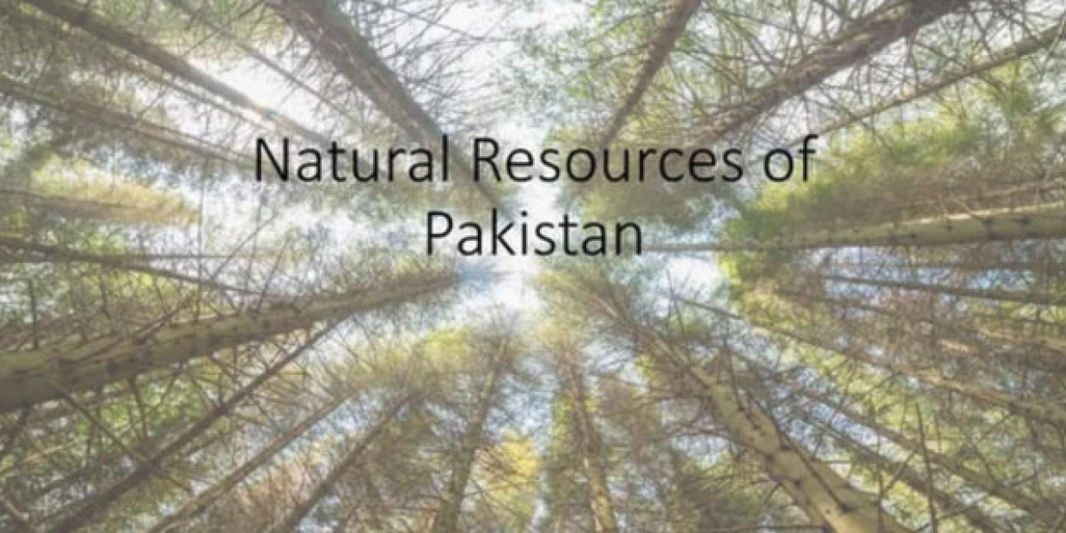 From Mountains to Seas: The Diverse Natural Resources of Pakistan