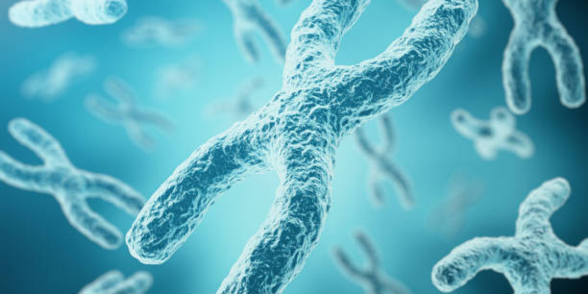 Chromosomes vs. Chromatids: Understanding the Key Differences