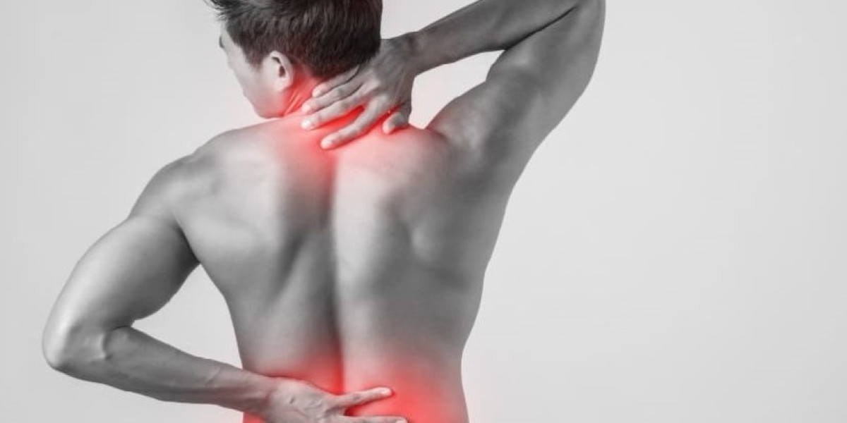 Global Fibromyalgia Treatment Market Share, Size, Outlook, Key Players, Trends, & Growth | 2024 - 2032