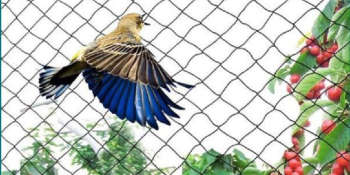 Green Anti Bird Safety Nets Providers in Bangalore: Best Deals