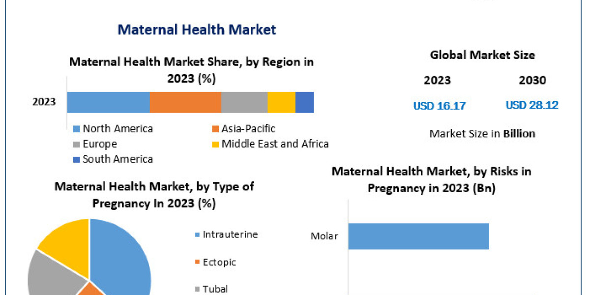 Maternal Health Market Focus: Prioritizing Comprehensive Care and Support for Expecting Mothers