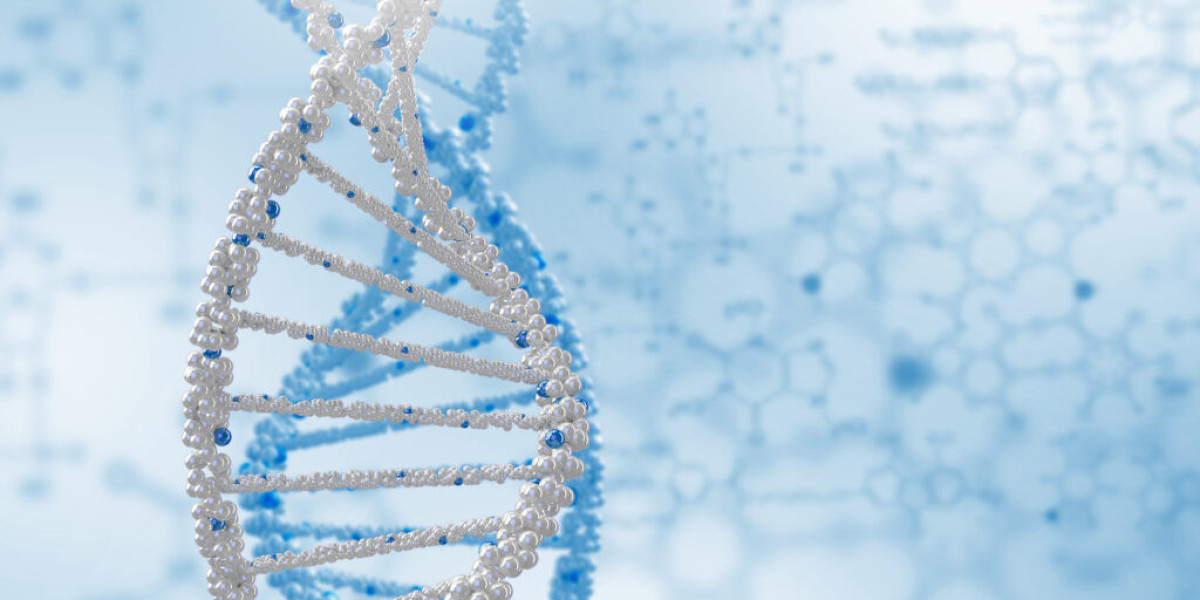 Ideal Time to Observe Chromosome Structure