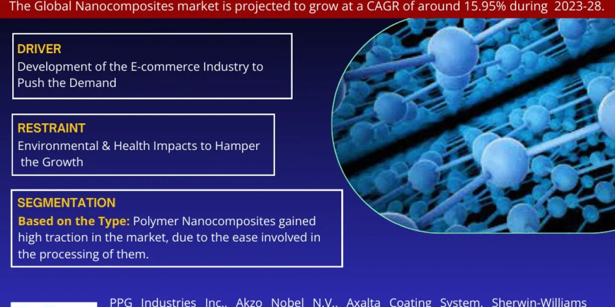 Competitive Landscape of Nanocomposites Market: Growth Analysis 2023-2028