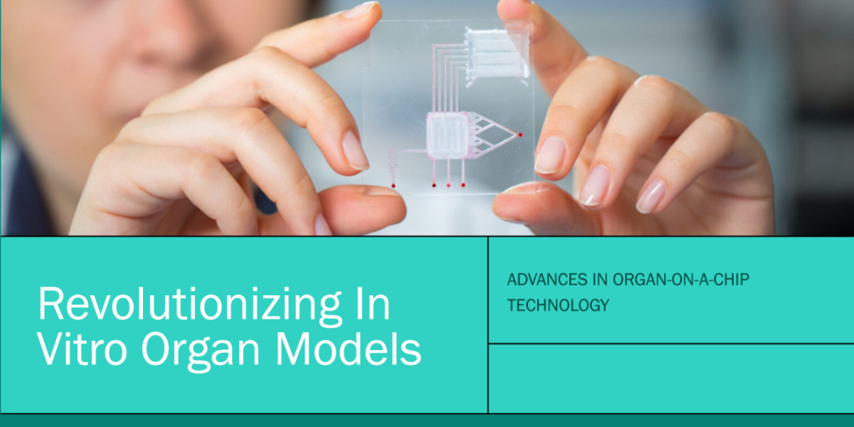 Innovations in Organ-On-a-Chip Technology: Key Developments and Market Trends for 2024