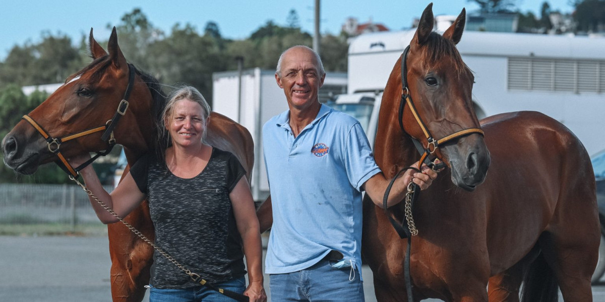 standardbred harness racing in brisbane