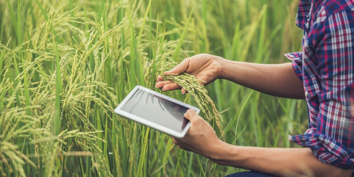 The Role of Technology in Driving the Global Agritech Market