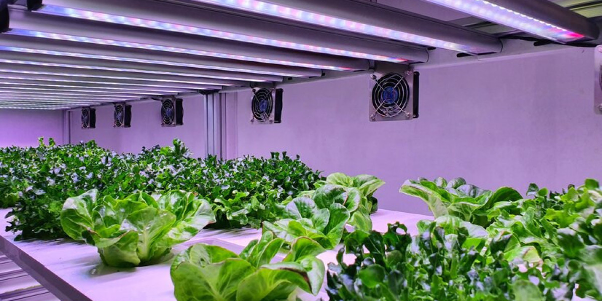 Global Horticulture Lighting Market Size, Share,  Analysis and Forecast 2021 - 2030