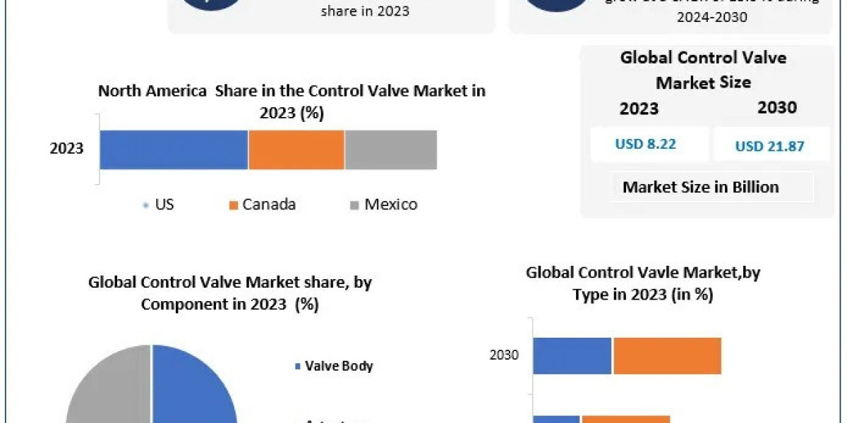 Control Valve Market Outlook 2030: Competitive Landscape and Emerging Technologies