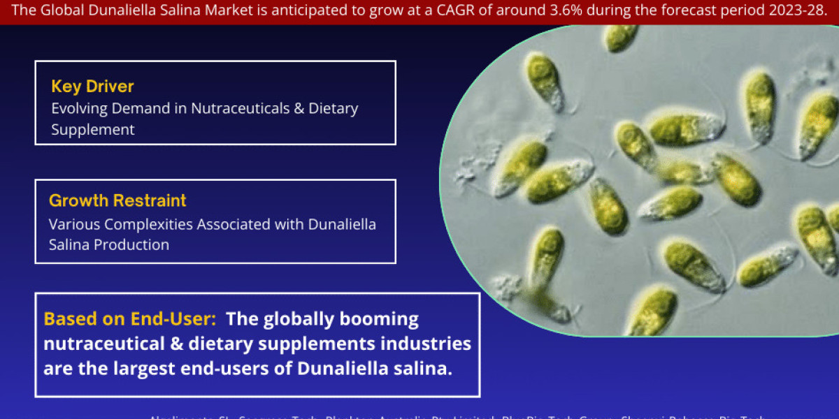 Dunaliella Salina Market Size, Share, Trends, Demand, Growth and Competitive Analysis