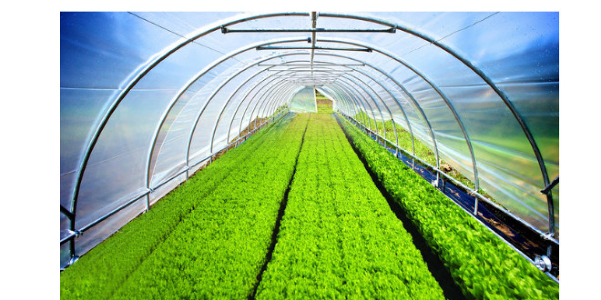 Greenhouse Plastic Film: Essential Guide to Types, Benefits, and Applications