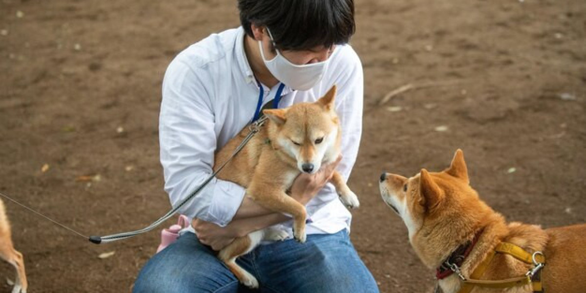 Japan’s Growing Veterinary Healthcare Market: Trends and Innovations